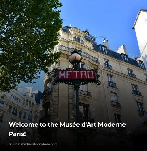 Welcome to the Musée d'Art Moderne de Paris!