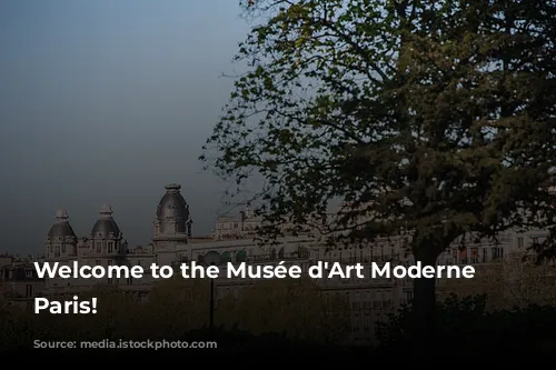 Welcome to the Musée d'Art Moderne de Paris!