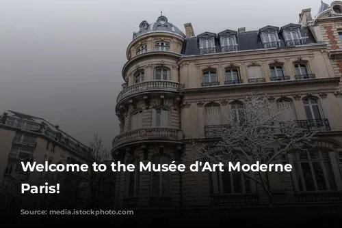 Welcome to the Musée d'Art Moderne de Paris!