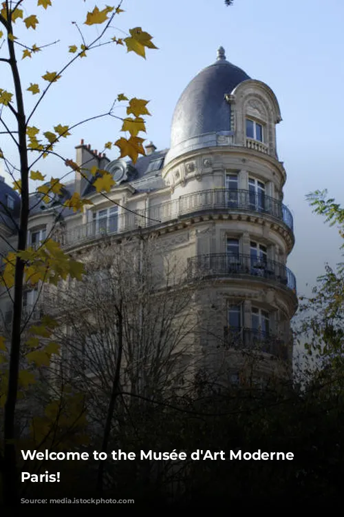 Welcome to the Musée d'Art Moderne de Paris!