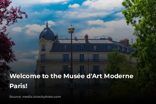 Welcome to the Musée d'Art Moderne de Paris!