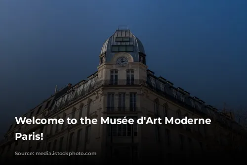 Welcome to the Musée d'Art Moderne de Paris!