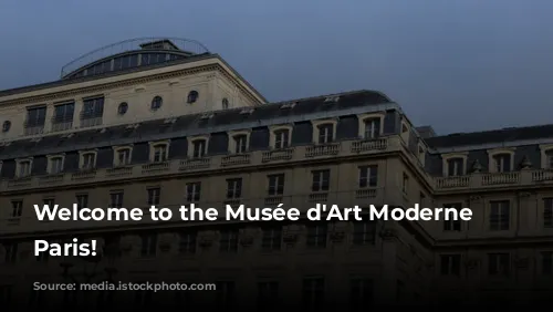 Welcome to the Musée d'Art Moderne de Paris!