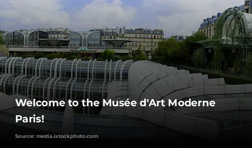 Welcome to the Musée d'Art Moderne de Paris!