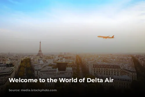 Welcome to the World of Delta Air Lines!