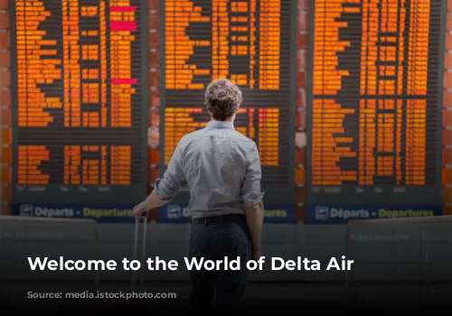 Welcome to the World of Delta Air Lines!