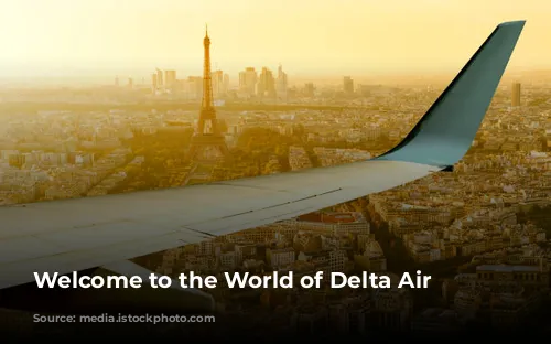 Welcome to the World of Delta Air Lines!