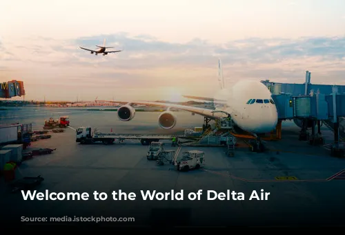 Welcome to the World of Delta Air Lines!