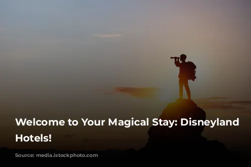 Welcome to Your Magical Stay: Disneyland Paris Hotels!