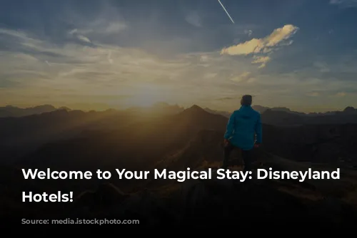 Welcome to Your Magical Stay: Disneyland Paris Hotels!