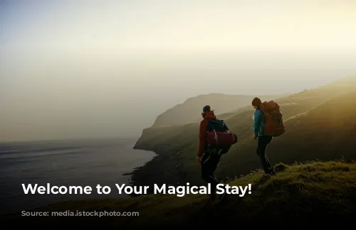 Welcome to Your Magical Stay!