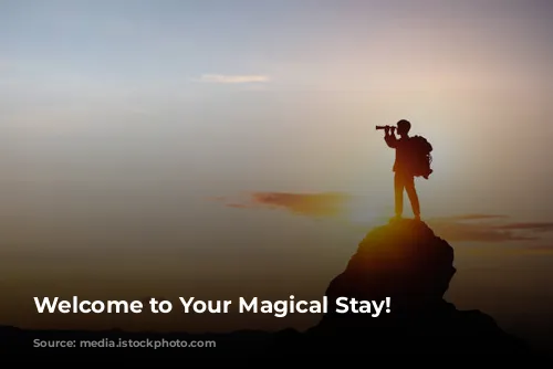 Welcome to Your Magical Stay!