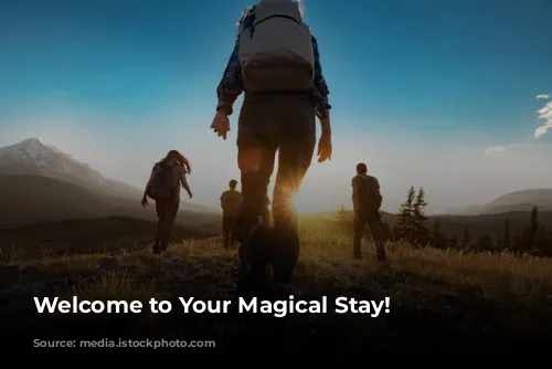 Welcome to Your Magical Stay!