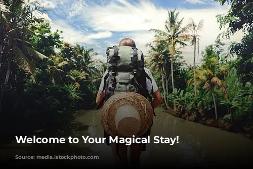 Welcome to Your Magical Stay!