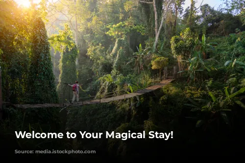 Welcome to Your Magical Stay!