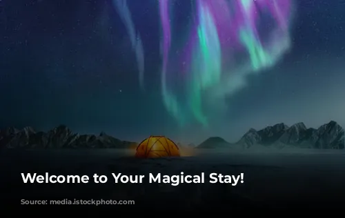 Welcome to Your Magical Stay!