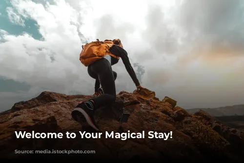 Welcome to Your Magical Stay!