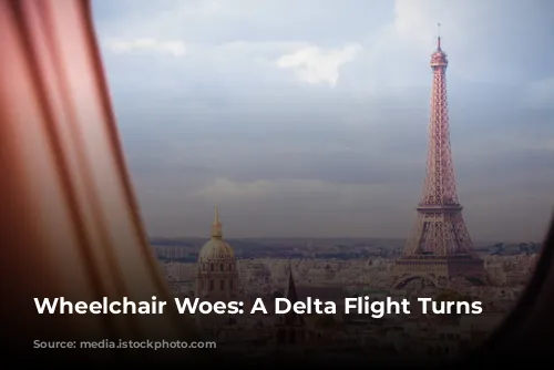 Wheelchair Woes: A Delta Flight Turns Sour