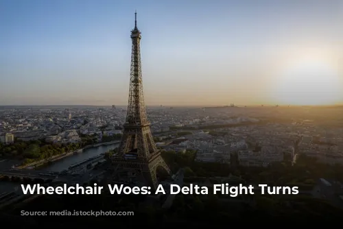 Wheelchair Woes: A Delta Flight Turns Sour