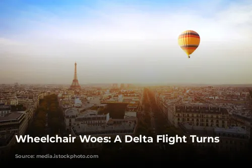 Wheelchair Woes: A Delta Flight Turns Sour