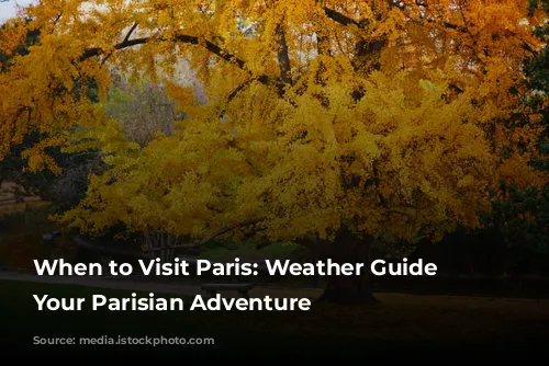 When to Visit Paris: Weather Guide for Your Parisian Adventure