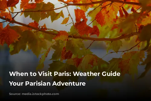 When to Visit Paris: Weather Guide for Your Parisian Adventure