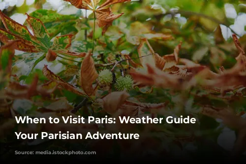 When to Visit Paris: Weather Guide for Your Parisian Adventure