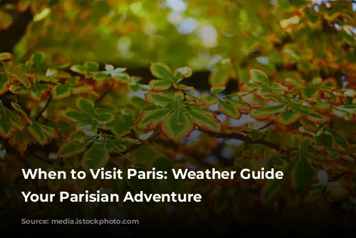 When to Visit Paris: Weather Guide for Your Parisian Adventure