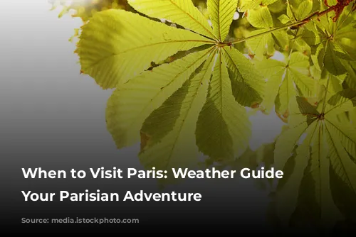 When to Visit Paris: Weather Guide for Your Parisian Adventure