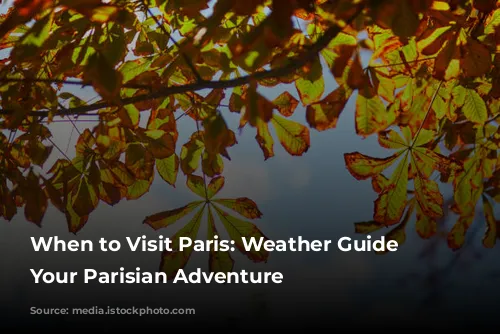 When to Visit Paris: Weather Guide for Your Parisian Adventure