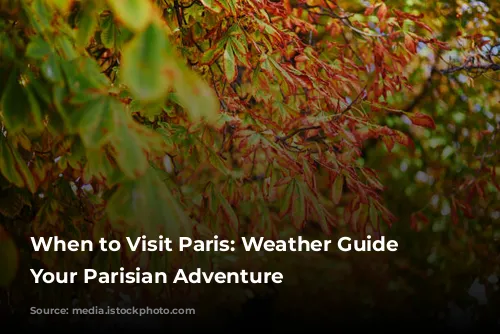 When to Visit Paris: Weather Guide for Your Parisian Adventure