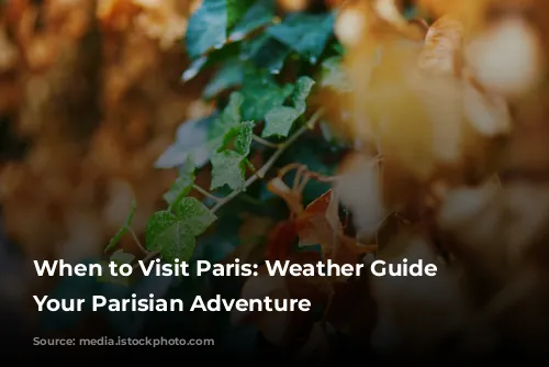 When to Visit Paris: Weather Guide for Your Parisian Adventure