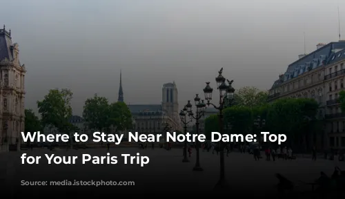 Where to Stay Near Notre Dame: Top Picks for Your Paris Trip