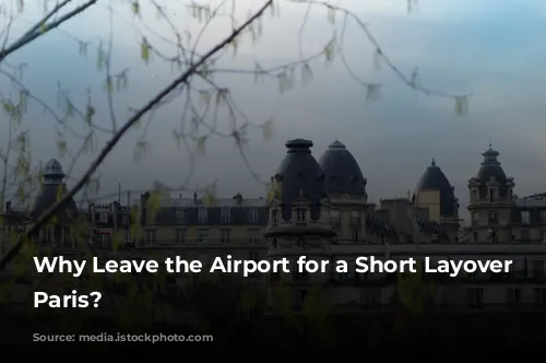 Why Leave the Airport for a Short Layover in Paris?