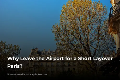 Why Leave the Airport for a Short Layover in Paris?