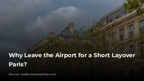 Why Leave the Airport for a Short Layover in Paris?