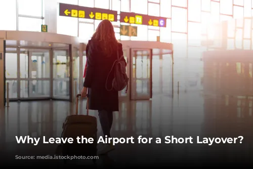 Why Leave the Airport for a Short Layover?