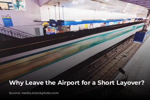  Why Leave the Airport for a Short Layover?