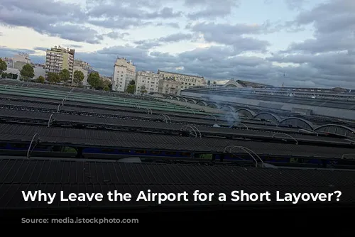  Why Leave the Airport for a Short Layover?