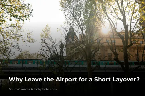  Why Leave the Airport for a Short Layover?