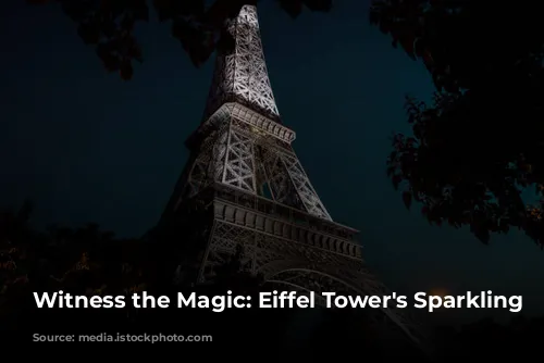 Witness the Magic: Eiffel Tower's Sparkling Lights