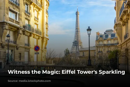 Witness the Magic: Eiffel Tower's Sparkling Lights