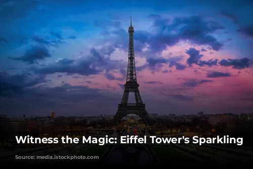 Witness the Magic: Eiffel Tower's Sparkling Lights