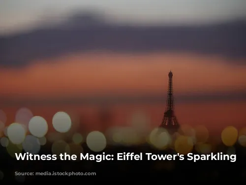 Witness the Magic: Eiffel Tower's Sparkling Lights