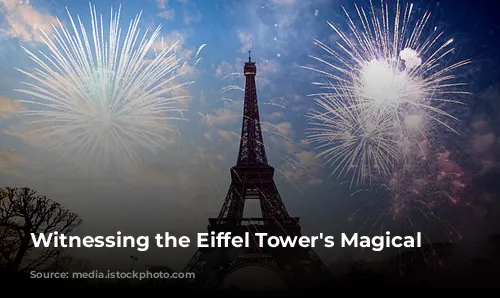  Witnessing the Eiffel Tower's Magical Lights