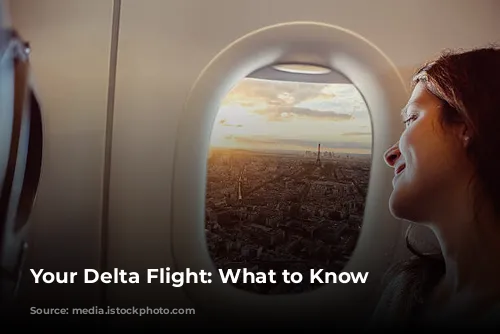 Your Delta Flight: What to Know