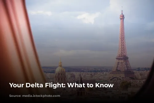 Your Delta Flight: What to Know