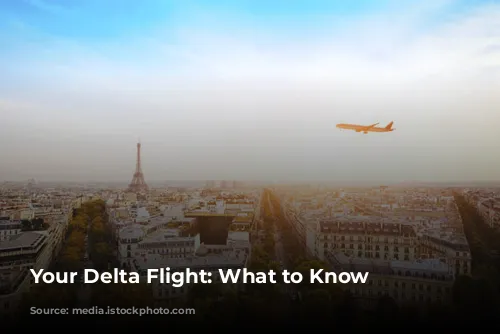 Your Delta Flight: What to Know