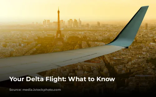 Your Delta Flight: What to Know