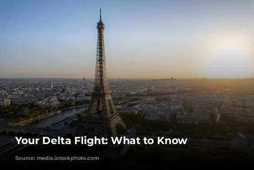 Your Delta Flight: What to Know